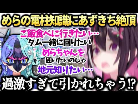 【GeoGuessr】あずきちやっと趣味を語れる新人めらが現れ歓喜【AZKi/熱千めら/ホロライブ切り抜き】