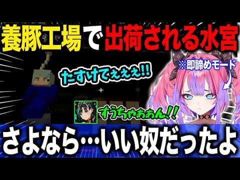 豚として出荷されるすうちゃんの救出を早々に諦めどうやって食べるかを考える綺々羅々ヴィヴィ【ホロライブ/ホロライブ切り抜き】