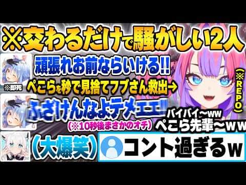 なんの躊躇いも無くぺこらを見捨てるも最高のオチを迎えるただすれ違うだけで騒がしいぺこヴィヴィw【綺々羅々ヴィヴィ 兎田ぺこら ホロライブ 切り抜き Vtuber】