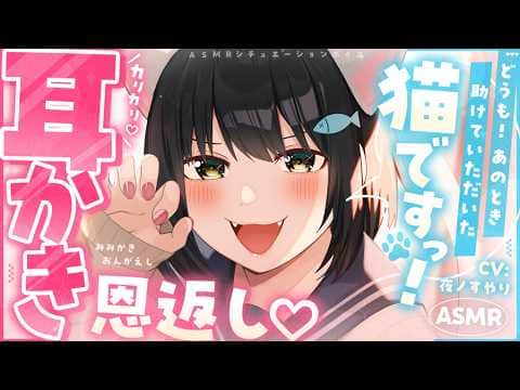 【耳かきASMR】猫又ちゃんの恩返し耳かきが、ふてぶて可愛くて気持ちいい🐾【夜ノすやり/バイノーラル/Ear cleaning】