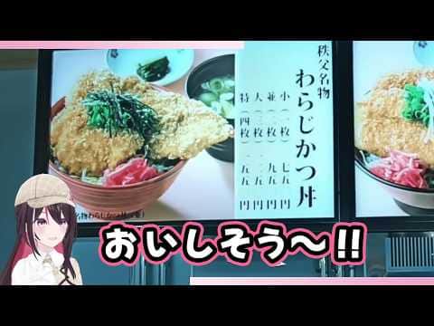 埼玉県秩父市・西武秩父駅で、名物わらじかつ丼が気になるあずきち【AZKi/ホロライブ切り抜き/GeoGuessr/ジオゲッサー】
