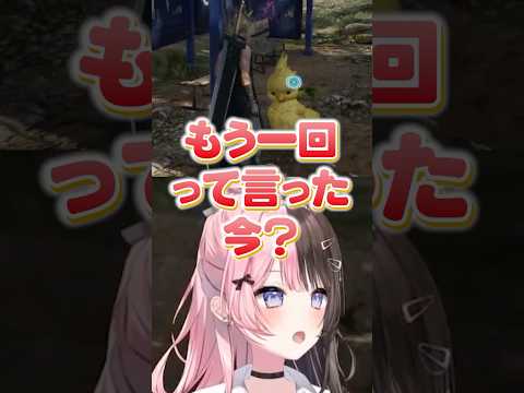 撫でられた後のミニチョコボの鳴き声がもう一回に聞こえるひなーのww【橘ひなの/かみと/ぶいすぽ/切り抜き】