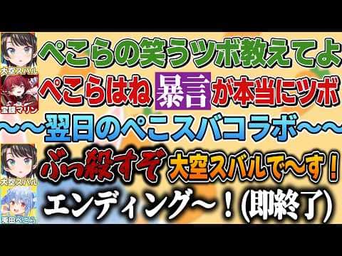 マリンのアドバイスを実践した結果10秒でコラボが終了するスバル【大空スバル/宝鐘マリン/兎田ぺこら/ホロライブ切り抜き】
