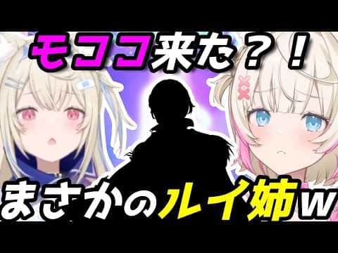 モココ来た!?→ルイ姉★5で大騒ぎするフワモコ【ホロドリ】
