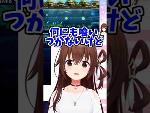 そらちゃんの魚釣り可愛い!【2026/07/06 #shorts  #ホロライブ #ときのそら】