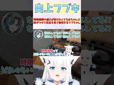 時限爆弾の威力が知りたくてちはちゃんに投げつけて反応を見て愉悦するフブちゃん #shorts  #ホロライブ #切り抜き #vtuber #白上フブキ  #輪堂千速  #ホロ切り抜き