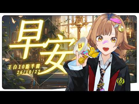 小金碧碧JinBee