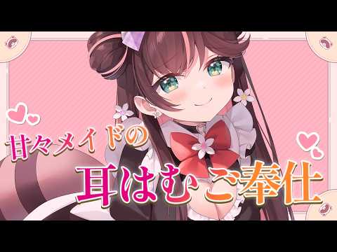 【#ASMR】甘々♥メイドさんの耳はむご奉仕【花守へるし 】