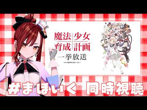 燈舞りん from まりなす