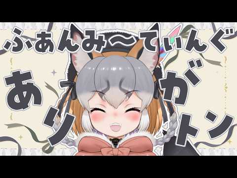 シマハイイロギツネ / Island Fox