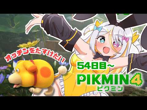 蜂蜜ぷりん / Hachimitsu Purin