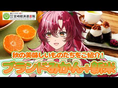 日向海フェニカ-Hinami Phoenica-【ユニプロ】