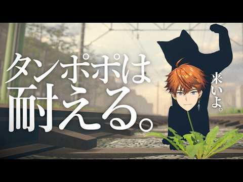 【タンポポは耐える。】蚊でも止まったか?【北見遊征/にじさんじ】