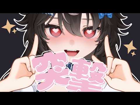 【 深夜突擊】咕咕嘎嘎! ⟣  #帕豹Pabo