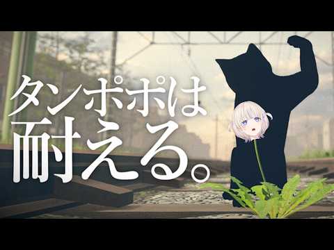 Hajime Ch. 轟はじめ ‐ ReGLOSS