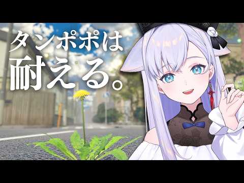白雪みしろShirayuki Mishiro