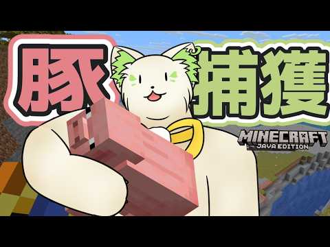🎮【#minecraft   】豚、捕獲の巻🐖[#ぶいぱい/#アップランド/#コマチガブ ]