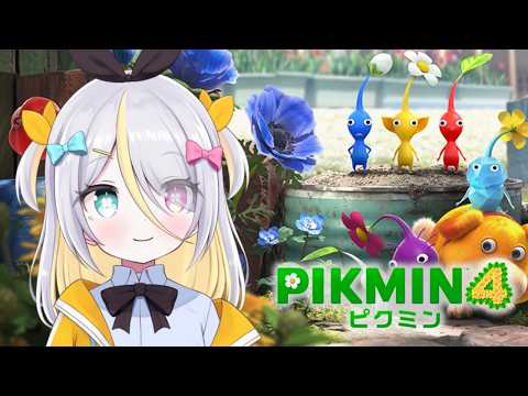 蜂蜜ぷりん / Hachimitsu Purin