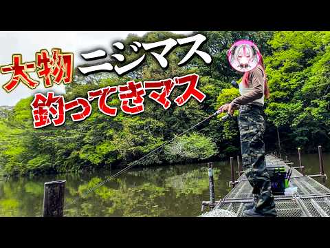 桃川ニジマス
