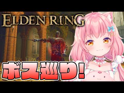 【エルデンリング 新DLC】片翼の構えとかいう戦技調べたらかなり強そうな件【だてんちゆあ】