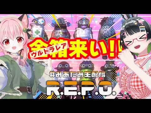たみーCh / 民安ともえ