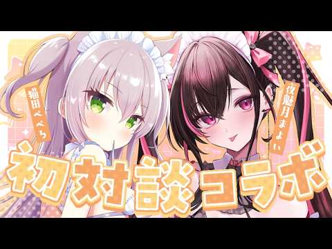 Pepero ch. / 猫田ぺぺろ