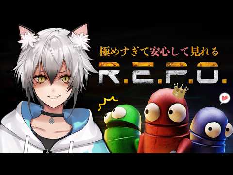 猫瀬乃しんNekozeno Shin