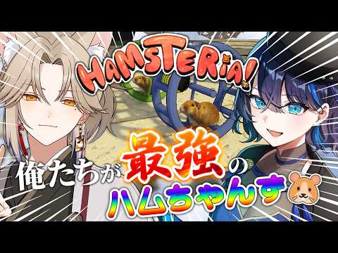 【#Hamsteria!】最強のハムちゃんず、あわせっちしてむちゅちゅ!!🐹🐹#初見さん大歓迎 #コラボ【小滝らいり/りゅぱー/深淵組】