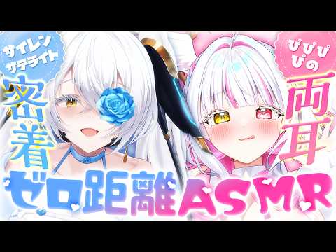 ぴぴぴ ぴの / Pipipi Pino