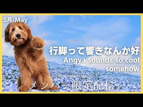 Iori Ch. 白鹿いおり【Phase Connect】