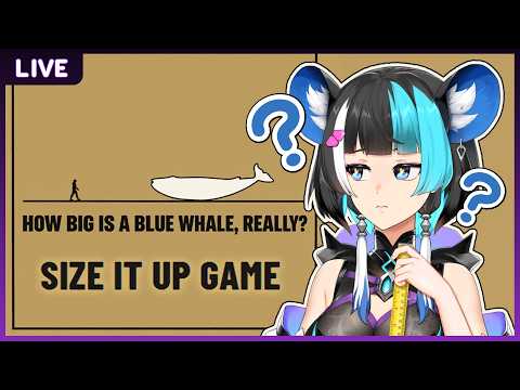 Nezumi Elze Ch. Pixela Legends