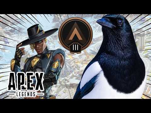 【APEX】シア専初心者による脱ブロンズ帯配信 / Seer Beginner Tries to Escape Bronze #新人vtuber #vtuberen