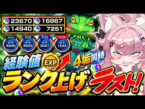 【#モンスト 】"最終日"2垢カンスト勢が4垢同時ランク上げ🐸とち狂ってやがる【#Vtuber 】【#オーブ 】
