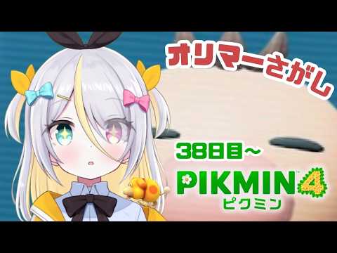蜂蜜ぷりん / Hachimitsu Purin