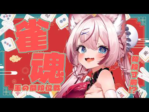 【#雀魂 雀豪1】またまた降段!?いやぁぁぁぁああああ!!! #段位戦 【海汐もるふ/Varium】