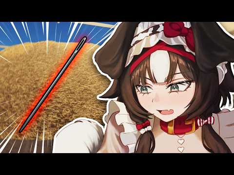 Finding a Needle in a Haystack Literally 【Find the Needle】
