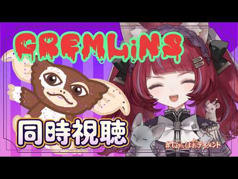 NEFFY【ネフィの楽屋】