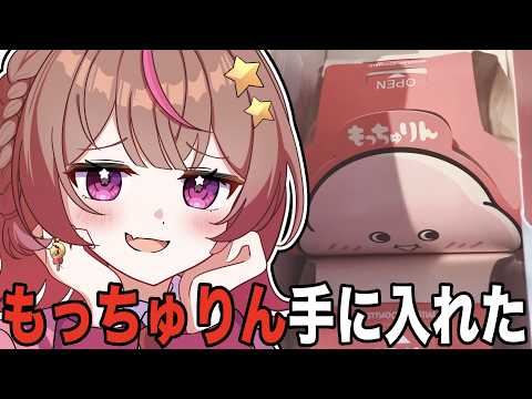 Mochi Ch. 成瀬もち