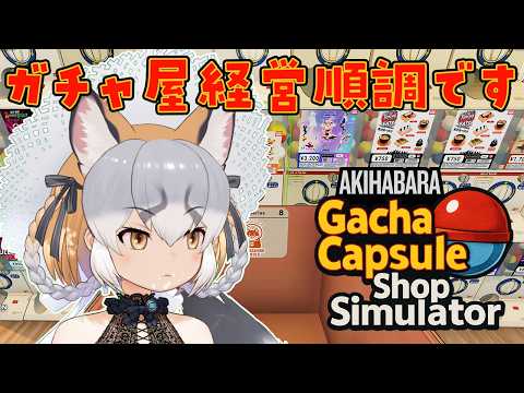 シマハイイロギツネ / Island Fox