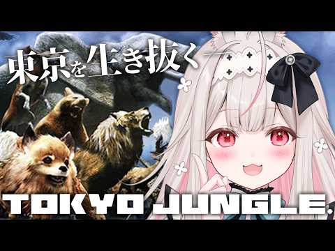 Nonochi Ch. 兎ノ花ののち