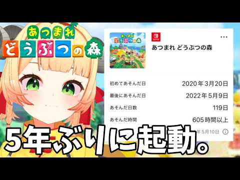 Amoko Ch. 甘乃あもこ