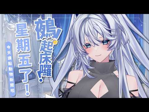 Sane ch. 小鵺野紗音