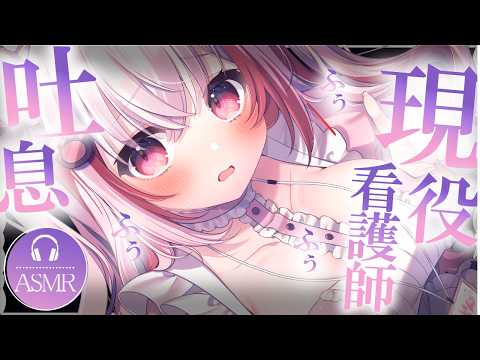 Kuon ch.桜神くおん