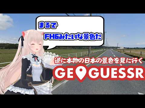 のらきゃっとチャンネル