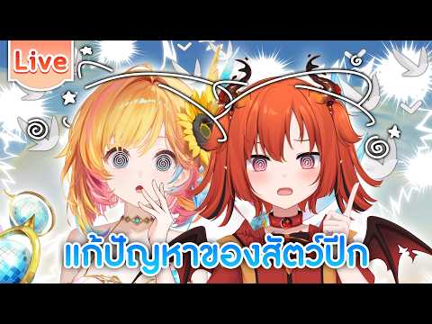 Draki Kona Ch. Lumina-First-Myth