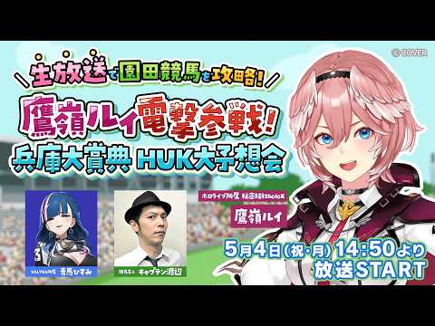Lui ch. 鷹嶺ルイ - holoX -