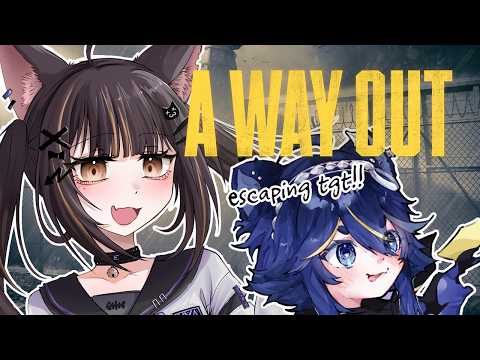 【A WAY OUT】a cat and a raccoon attempting to break free!? ₍^. .^₎Ⳋ w/ @nami_the_chi