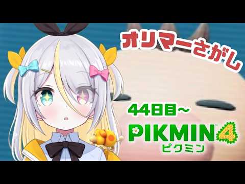 蜂蜜ぷりん / Hachimitsu Purin