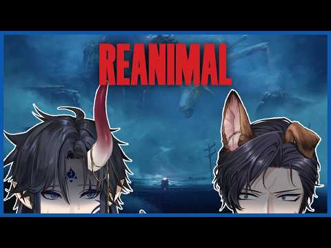 Caelen Strayfe 【FIRST STAGE PRODUCTION EN】