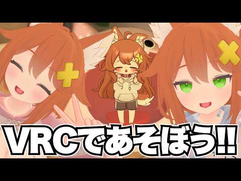 猫舐つな / Tuna ASMR
